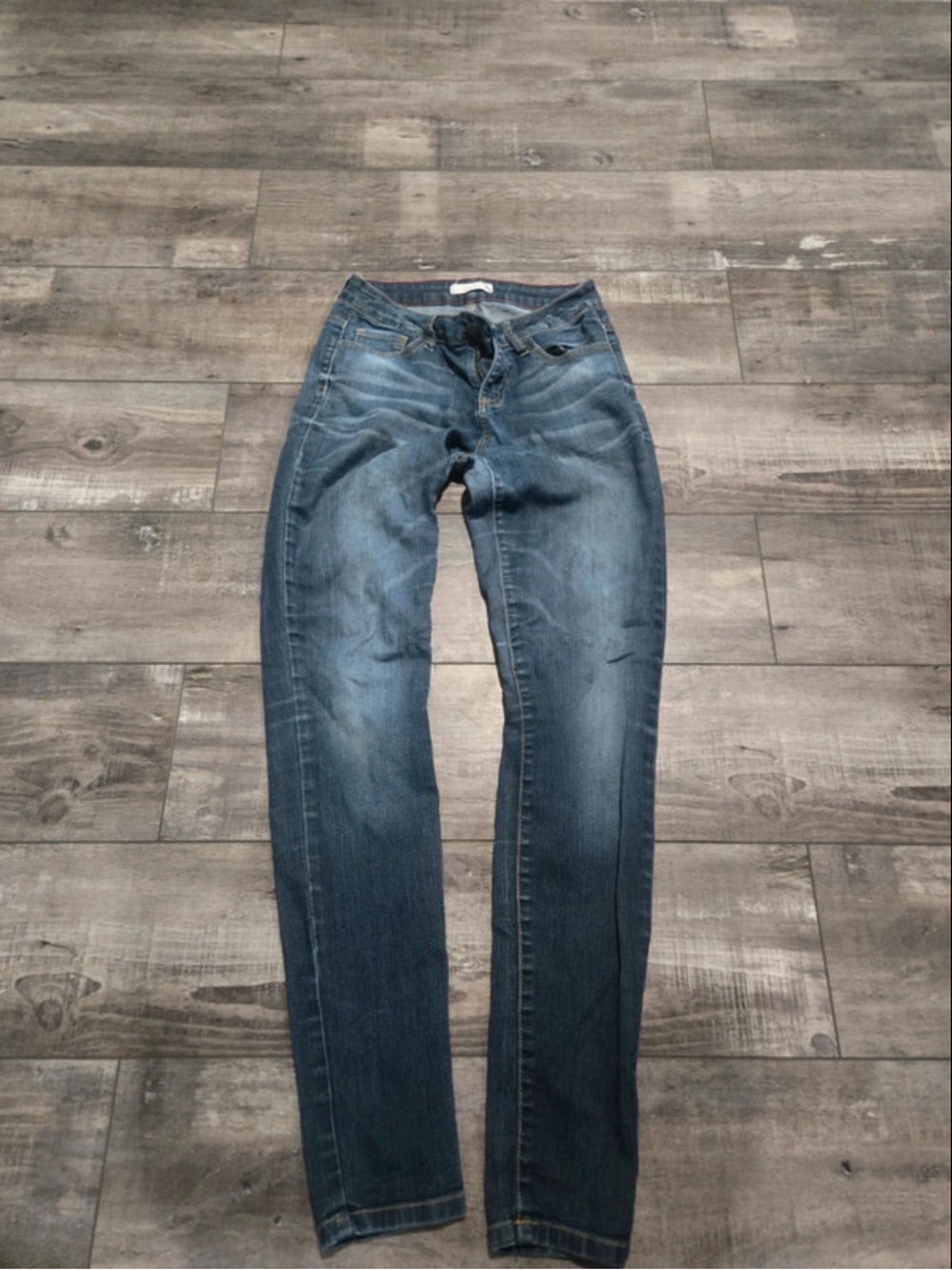 Cello Women's Straight Jeans in Faded Blue